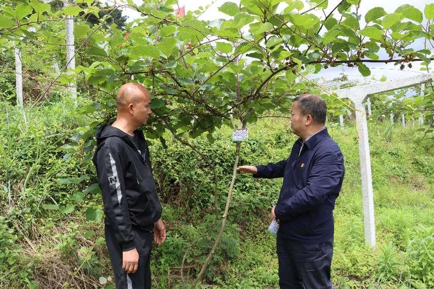 一竞技官网 - 从一路头·竞无终点